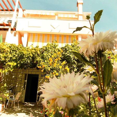 Guesthouse Jenny (Adults Only) Novalja Εξωτερικό φωτογραφία